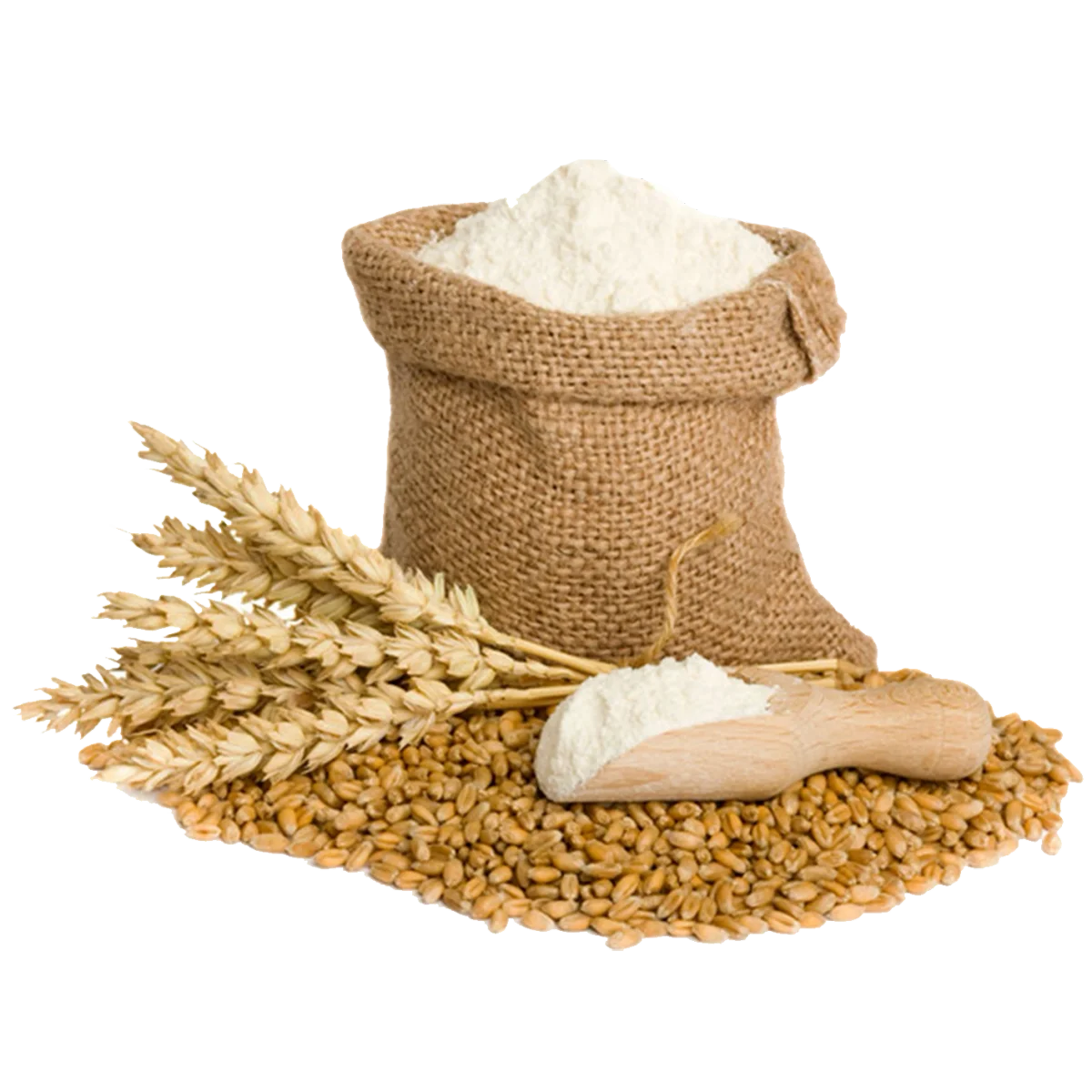 Wheat