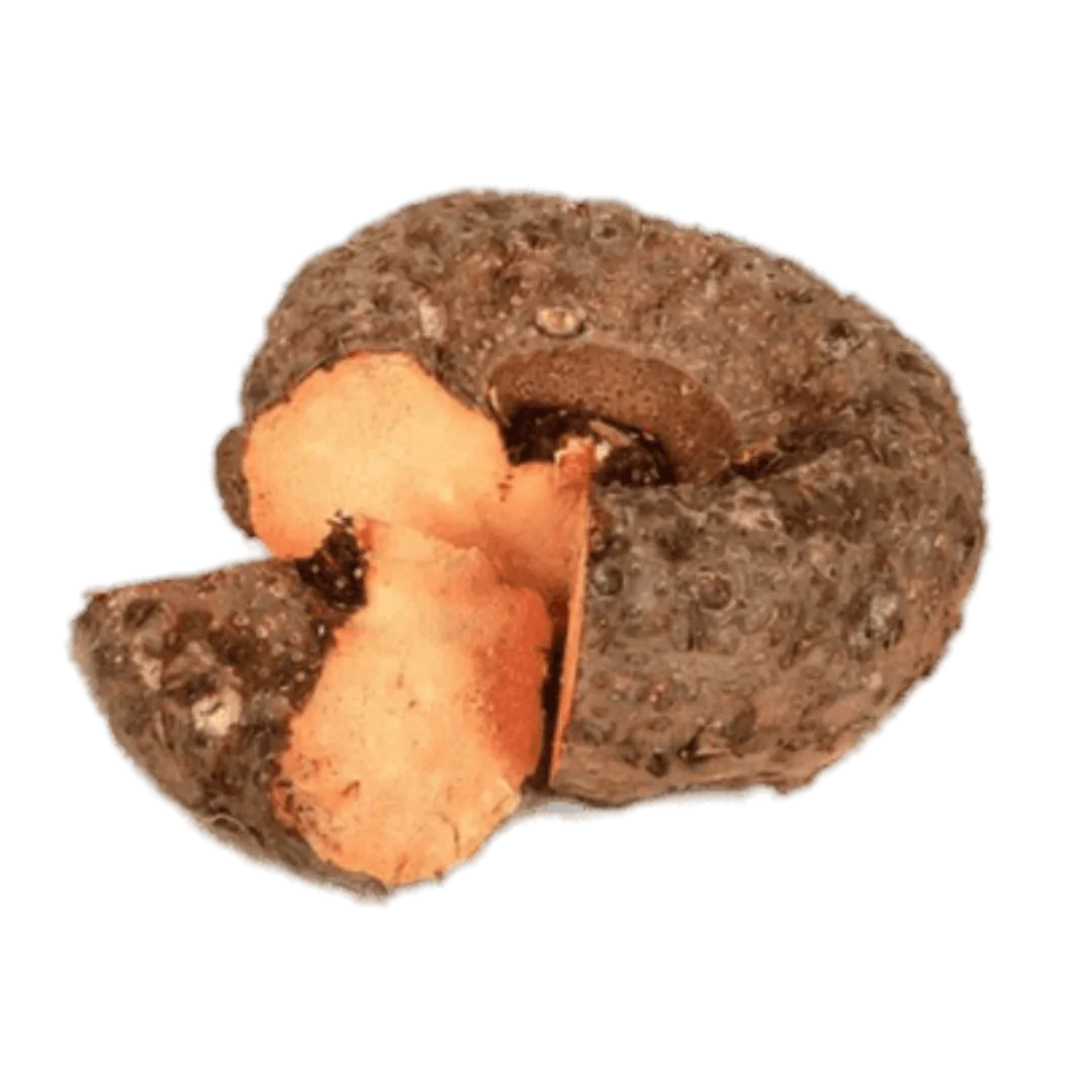 Elephant Yam