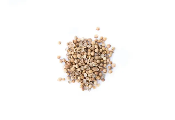 Coriander Seeds