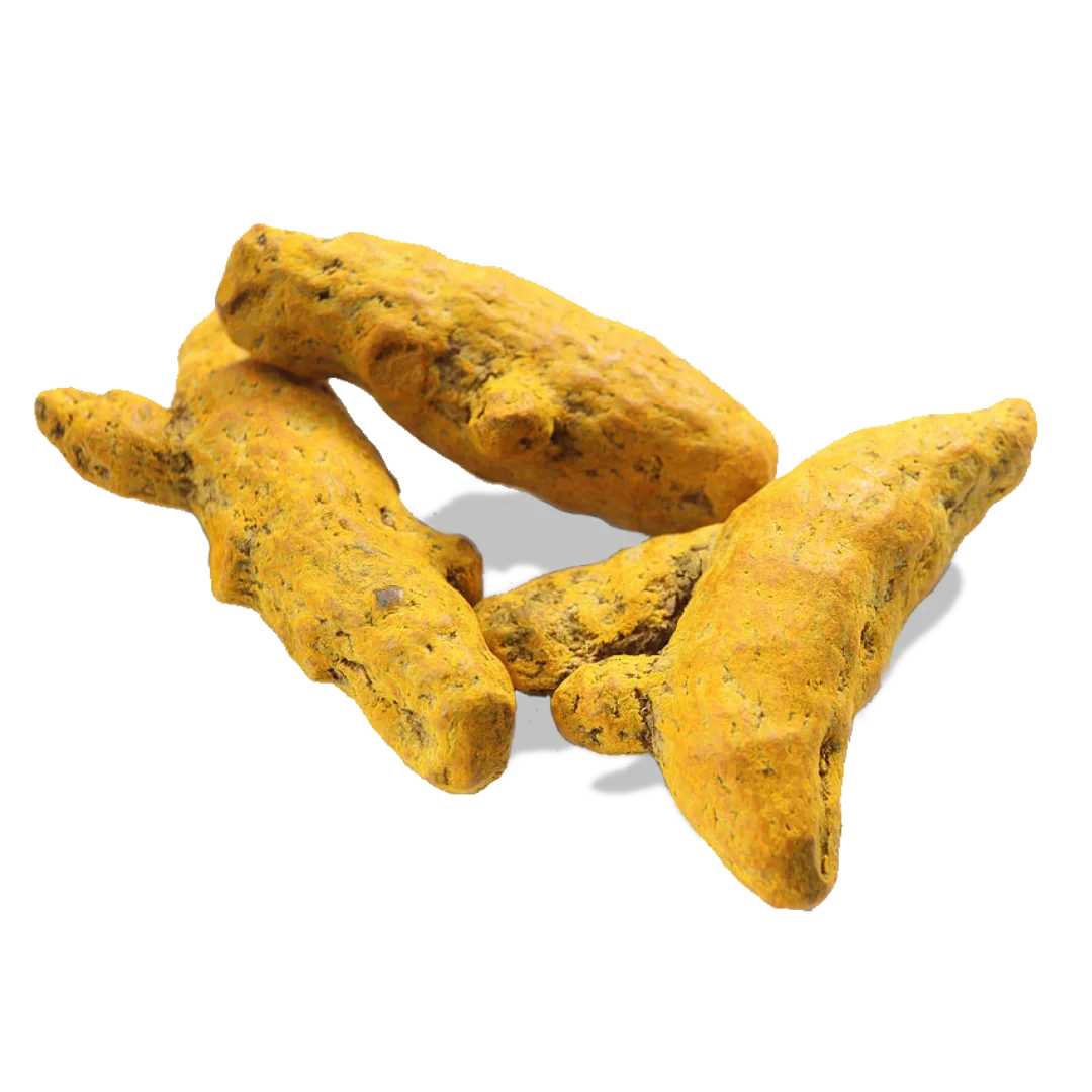 Dry Turmeric